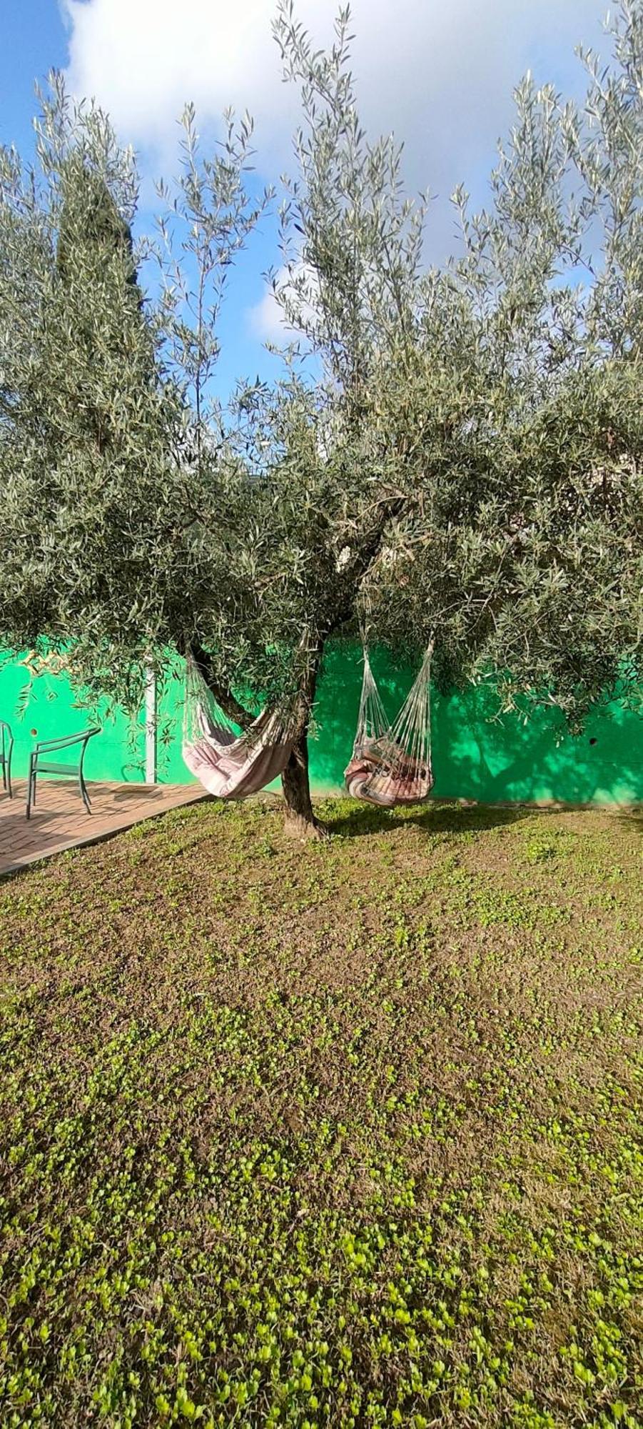 La Tenuta Di Eva Pisa Buitenkant foto