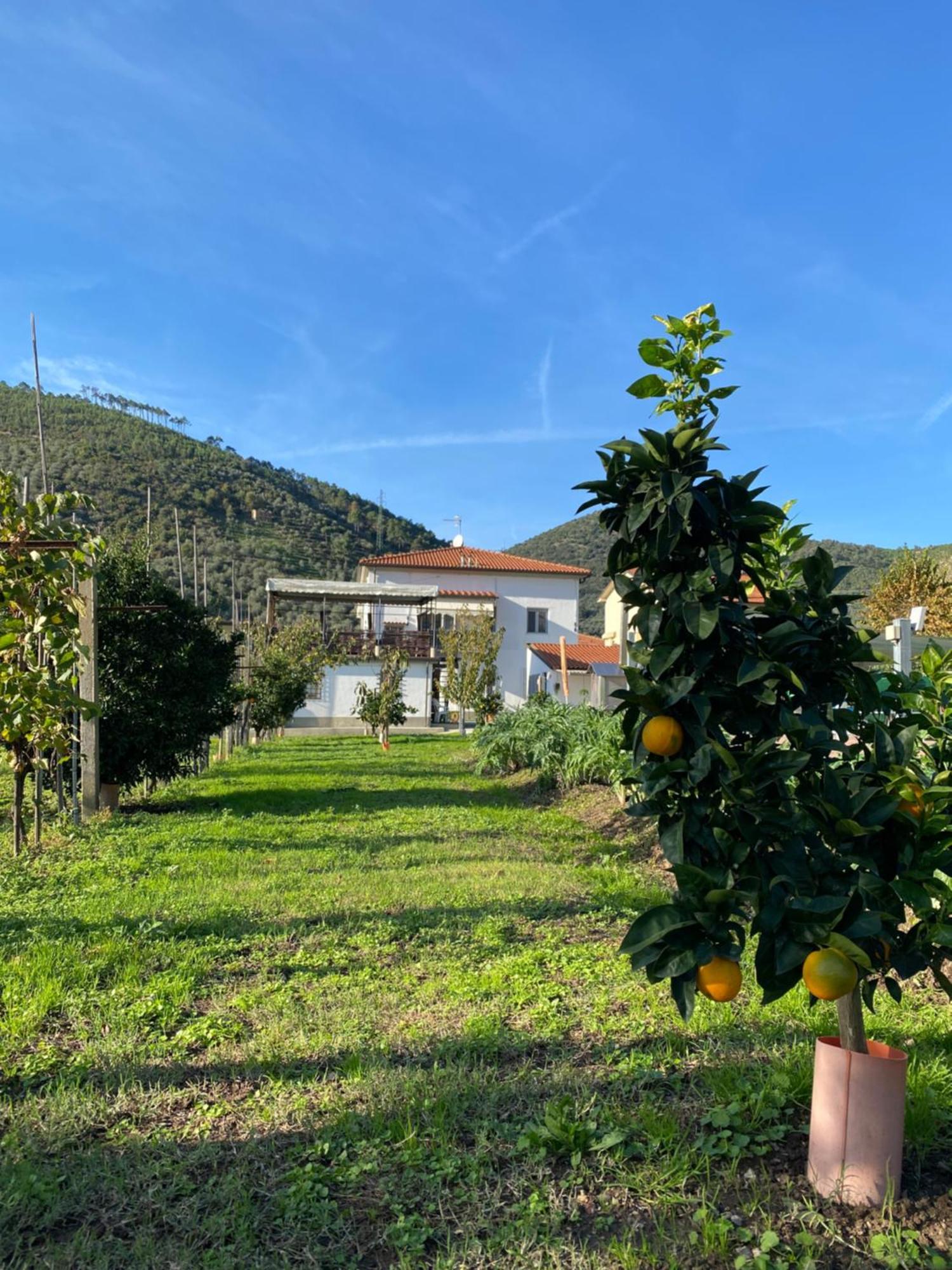 La Tenuta Di Eva Pisa Buitenkant foto