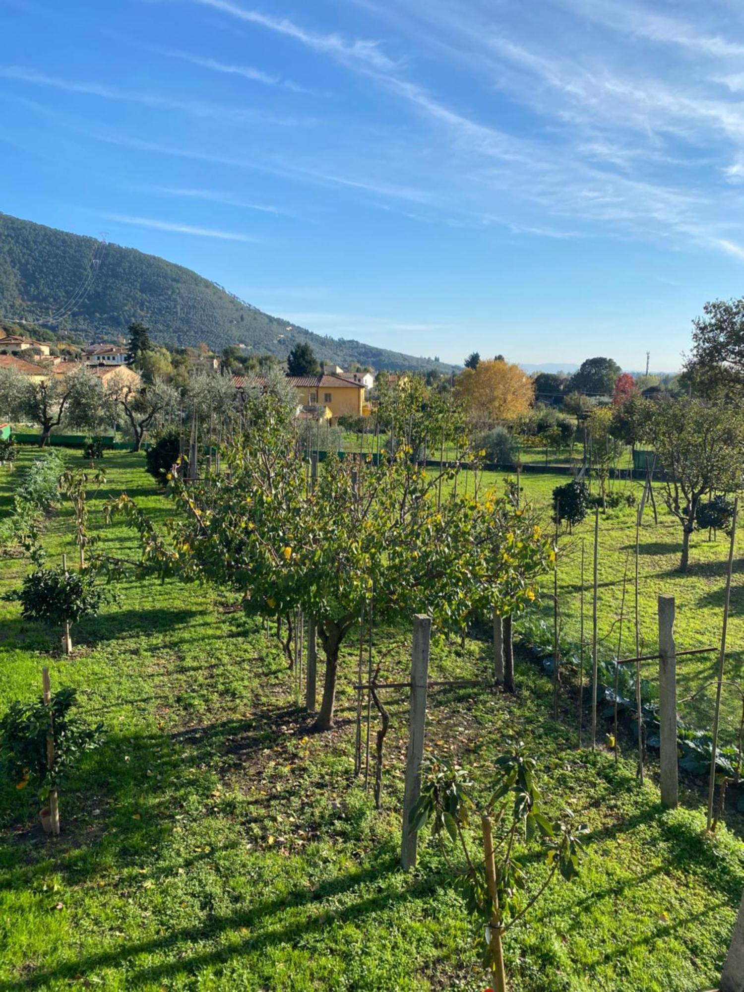 La Tenuta Di Eva Pisa Buitenkant foto