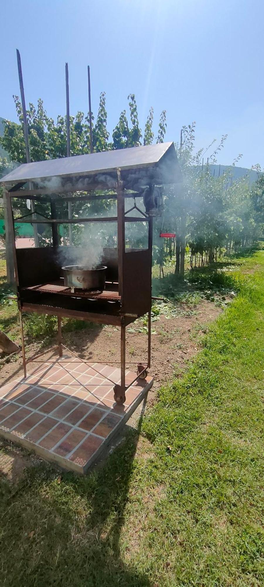 La Tenuta Di Eva Pisa Buitenkant foto