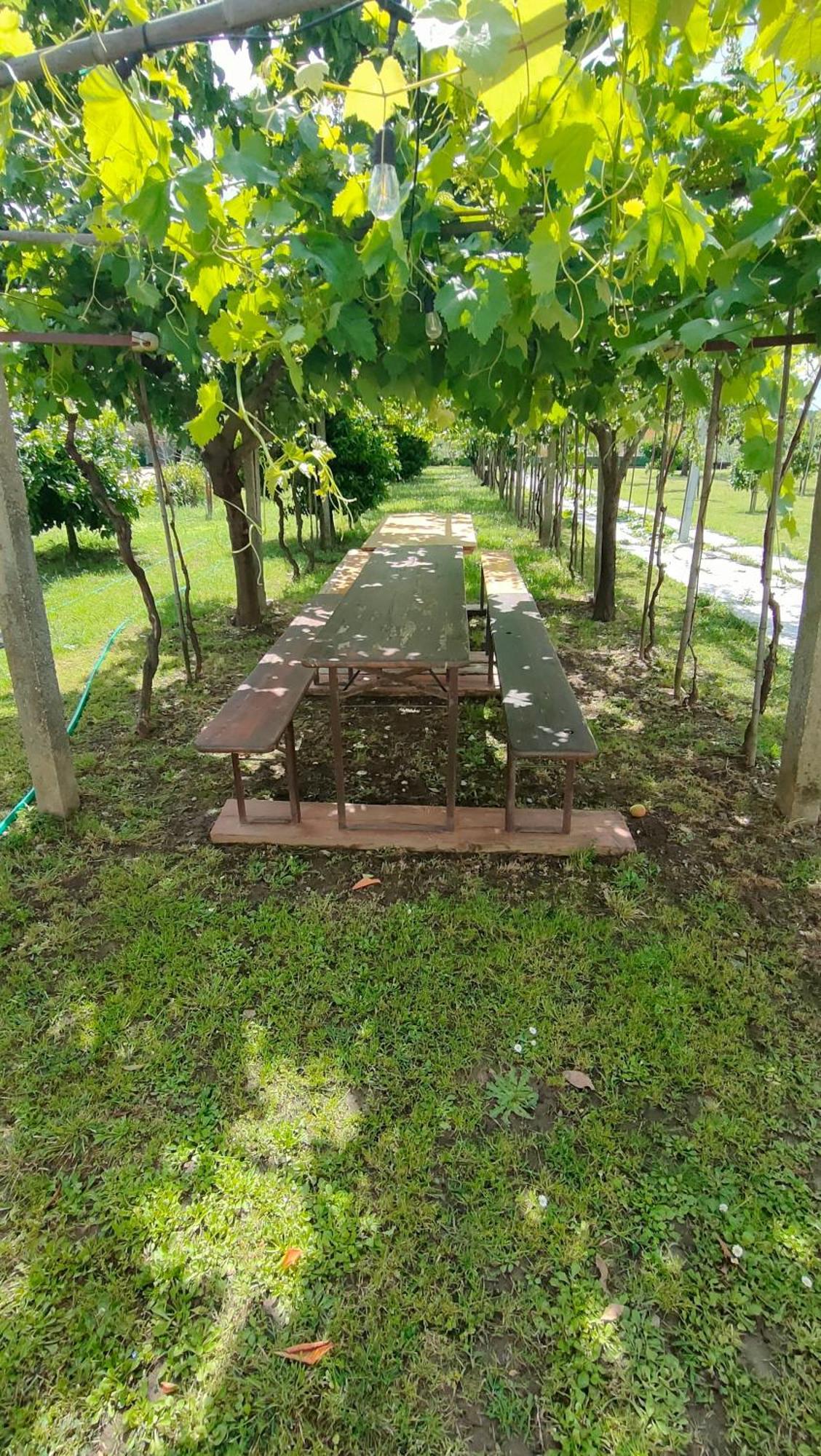 La Tenuta Di Eva Pisa Buitenkant foto